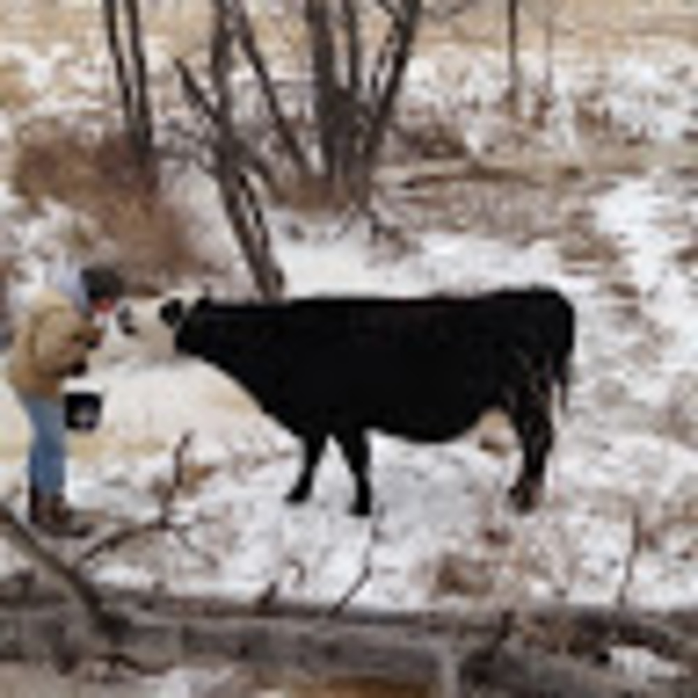 Meet your Posher, Alfred